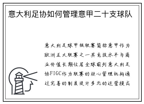 意大利足协如何管理意甲二十支球队